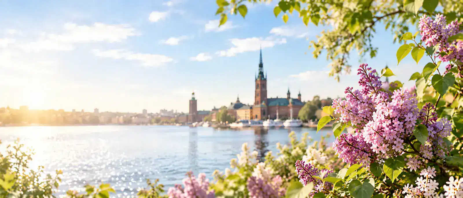 Namnsdagar i maj: guide till månadens namn – Syrener i blom med Stockholm i bakgrunden i maj