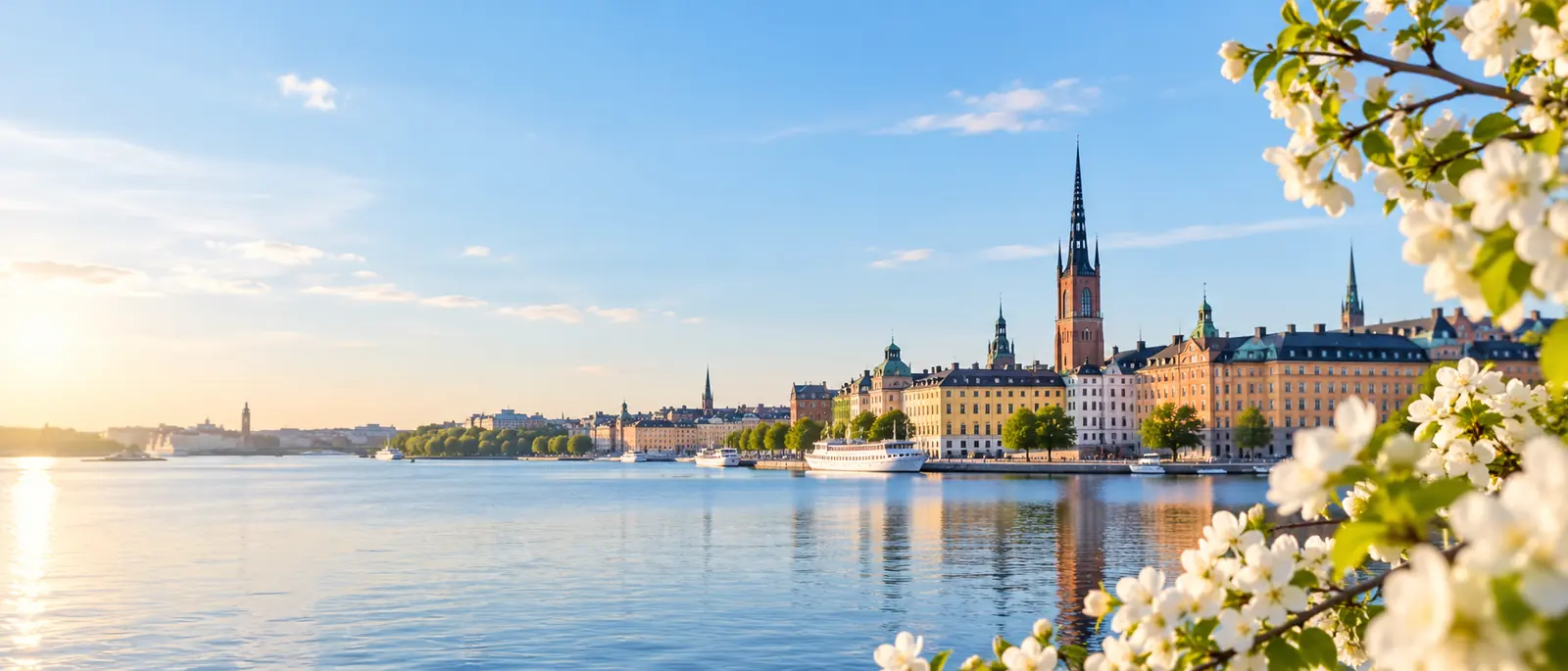 Kontakta oss – Körsbärsblom över Stockholms vatten på våren