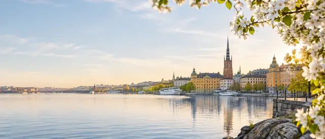 Gratulationstexter – Blommande grenar och Stockholm i vårsol