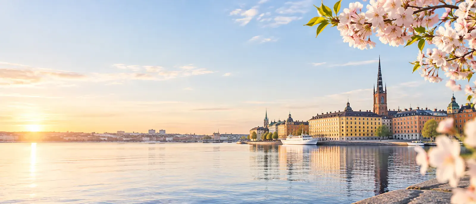 Källor – Vårblom med utsikt över Gamla stan i Stockholm
